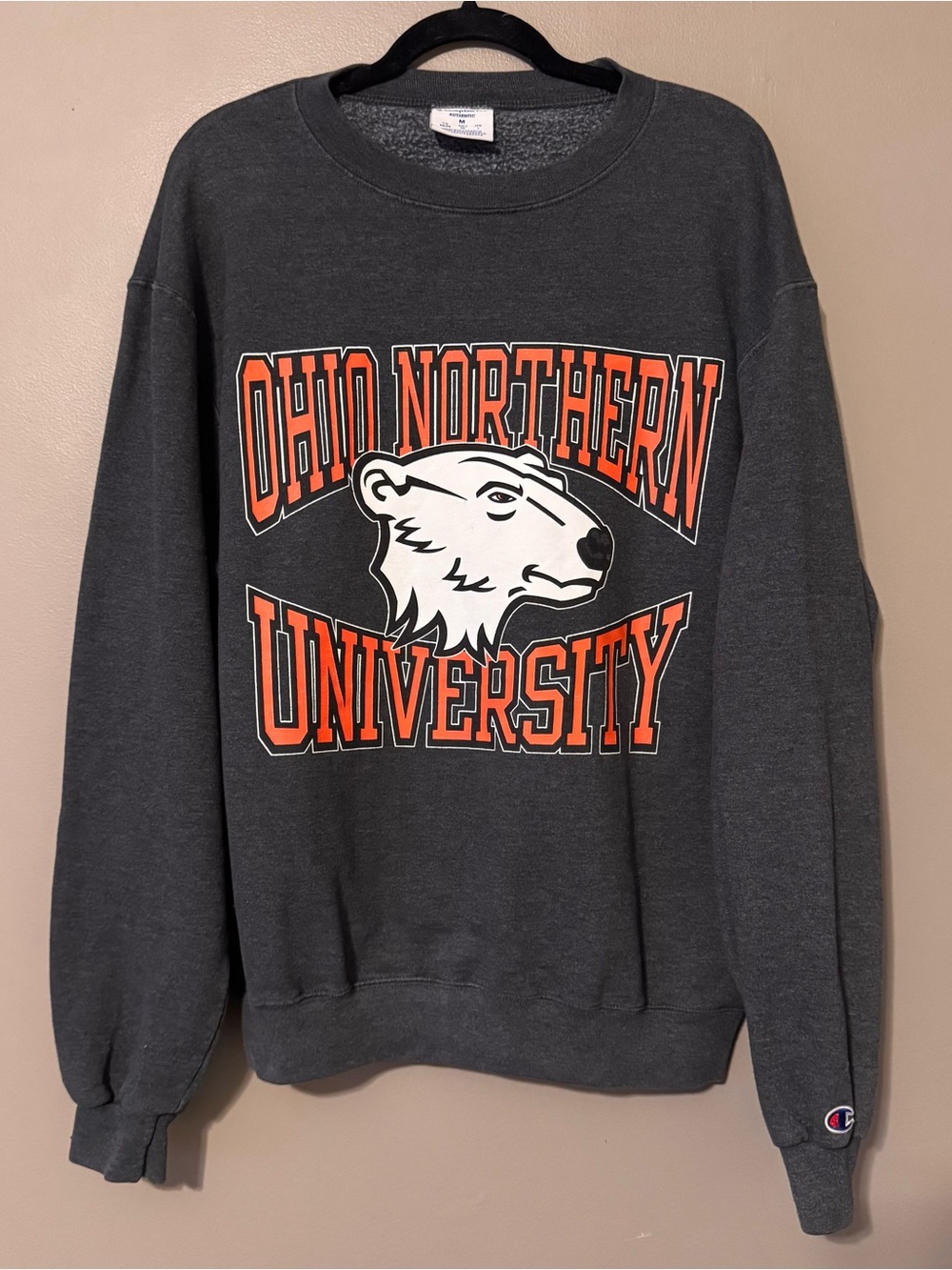 Vintage Y2K Champion Eco Authentic Ohio Northern University Crewneck Adult Med